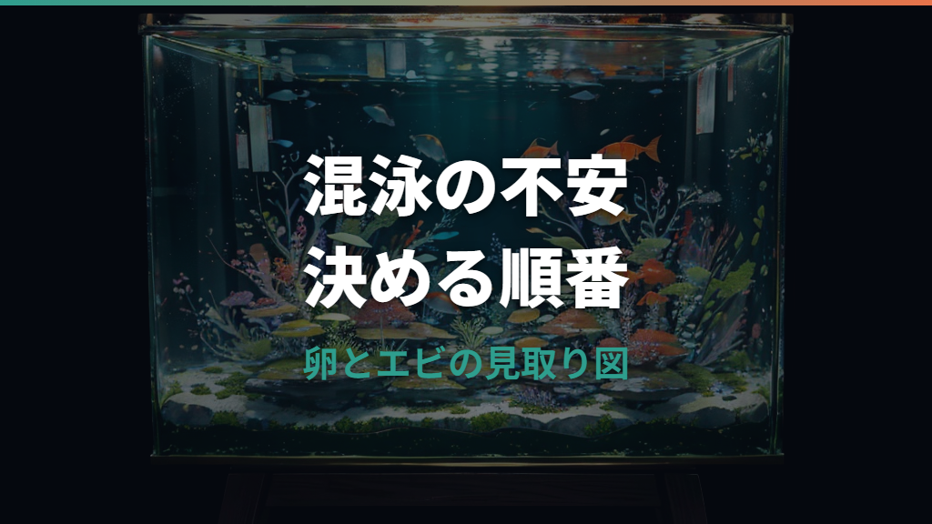 メダカの卵はミナミヌマエビに食べられる？混泳と隔離の判断基準