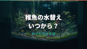 メダカ稚魚の水替えはいつから?針子を死なせない頻度・量・手順