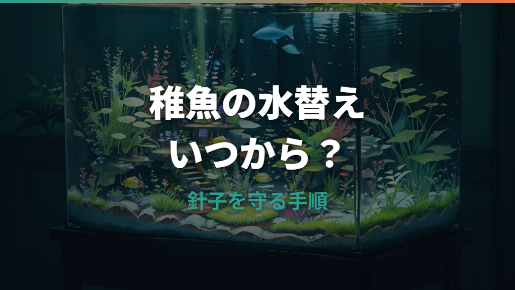 メダカ稚魚の水替えはいつから?針子を死なせない頻度・量・手順