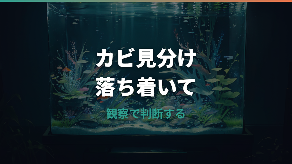 メダカの卵のカビは放置NG？白い卵の見分け方と安全な取り方