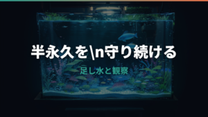 水換え不要の半永久水槽の作り方|メダカ向けに仕組みと失敗対策を解説