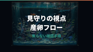 メダカのお腹に卵が付いたままは大丈夫?正常な産卵と卵詰まりの見分け方