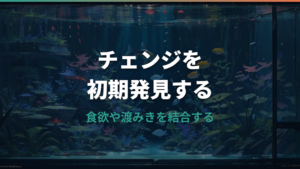 メダカのお腹がパンパンな原因は病気?卵・便秘・腹水病の見分け方