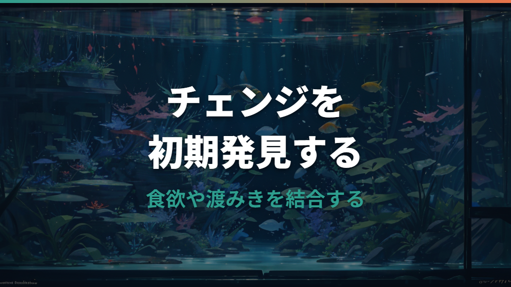 メダカのお腹がパンパンな原因は病気?卵・便秘・腹水病の見分け方