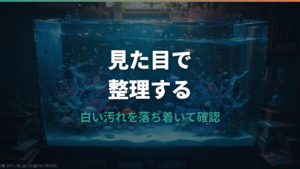 水槽の水カビを画像で見分けるには?白いモヤ・黒い汚れ・緑のコケの違い