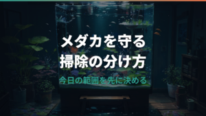 水槽掃除はメダカを入れたままで大丈夫?負担を減らす手順と注意点