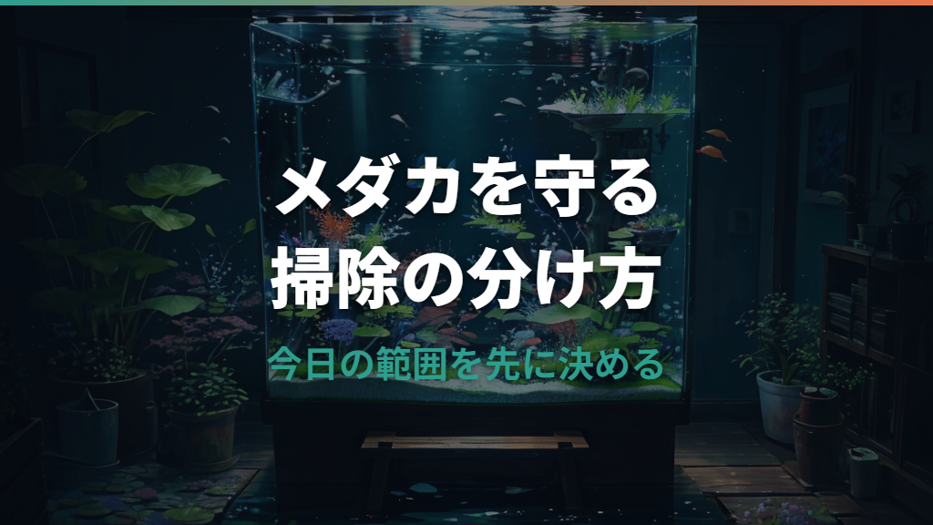 水槽掃除はメダカを入れたままで大丈夫?負担を減らす手順と注意点