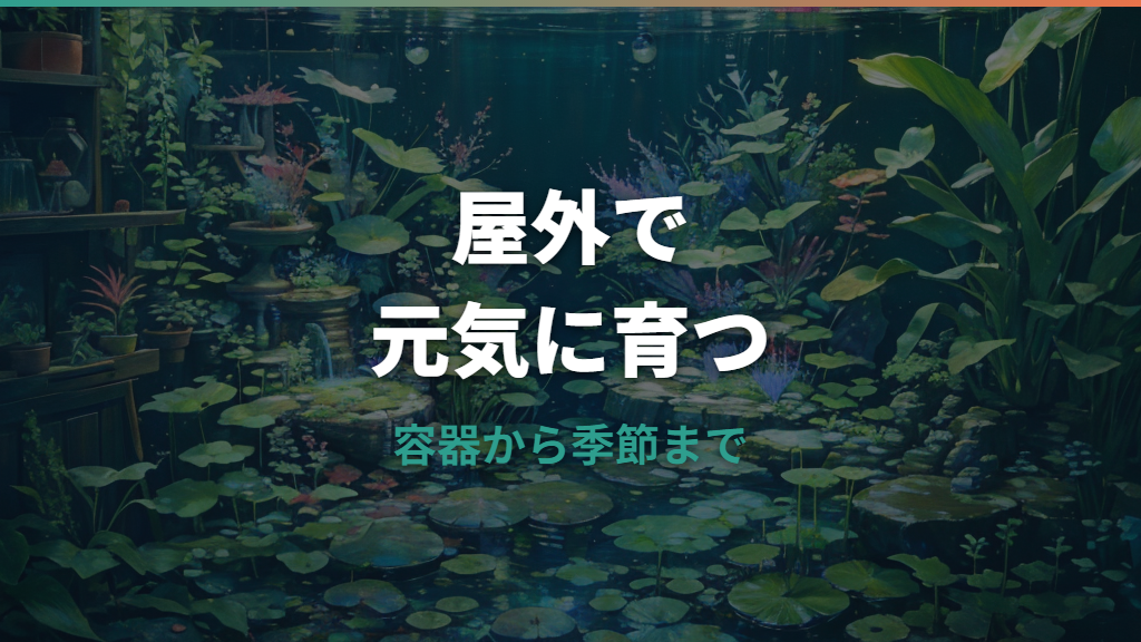屋外飼育のメダカ詳しいガイド|容器・水づくり・季節管理と繁殖のコツ