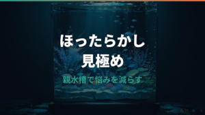 メダカの卵はほったらかしで孵化する?親水槽で放置するリスクと最低限の管理