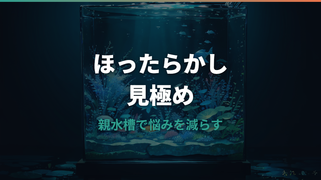 メダカの卵はほったらかしで孵化する?親水槽で放置するリスクと最低限の管理