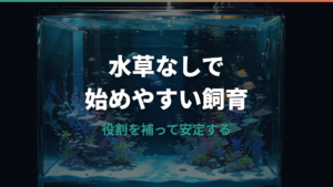 メダカは水草なしで飼える?初心者が失敗しない容器・酸素・卵の管理
