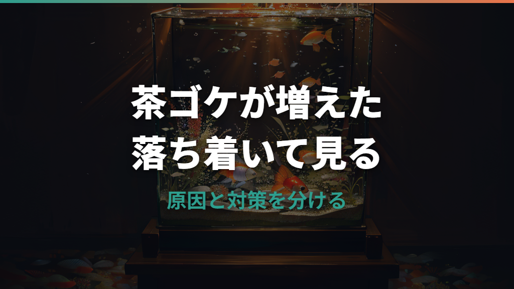 水槽の茶ゴケの原因と落とし方|放置していい時と再発防止の管理