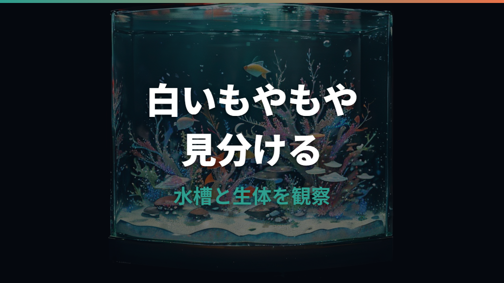 水槽の白いもやもやはバクテリア?正体の見分け方と安全な取り方