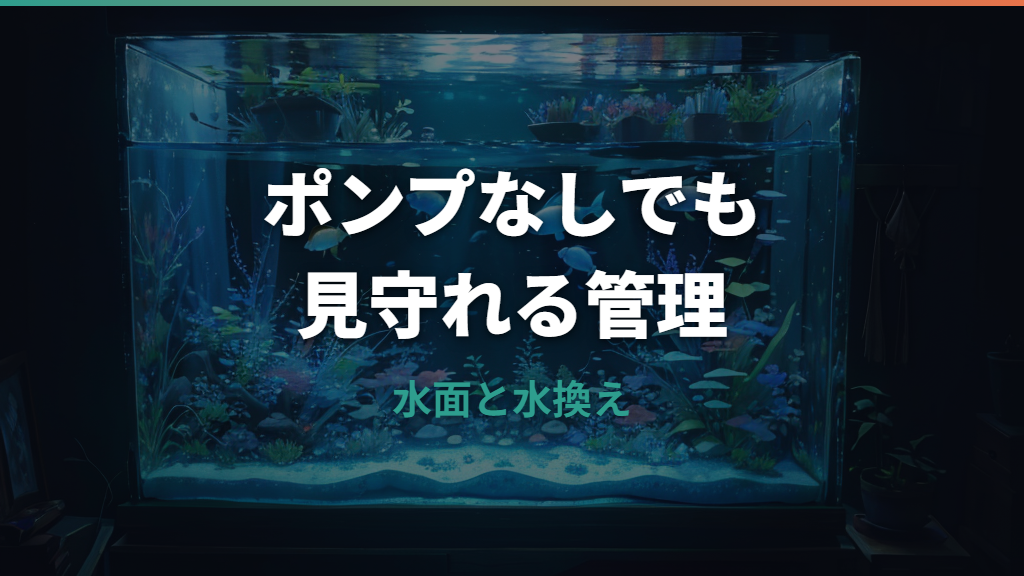 メダカの飼い方はポンプなしでも大丈夫？条件・水換え・水草のコツ