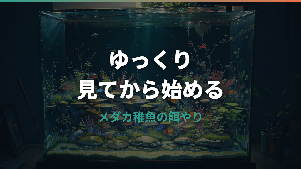 メダカ稚魚の餌はいつから?種類・量・回数と食べない時の見直し