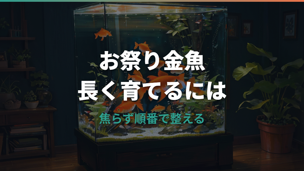 お祭りの金魚の寿命は短い?すぐ死ぬ原因と長生きさせる飼い方