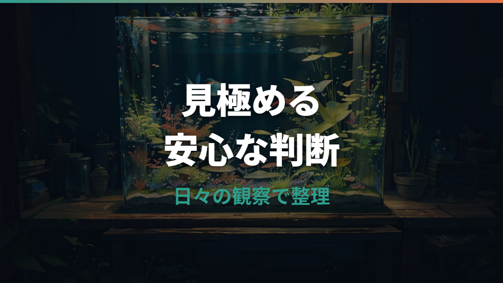 メダカの過抱卵とは?卵詰まりとの違いと安全な対処法