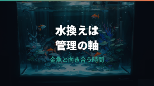 金魚の水換え頻度は何日おき?水槽サイズ・匹数別の目安と安全な手順