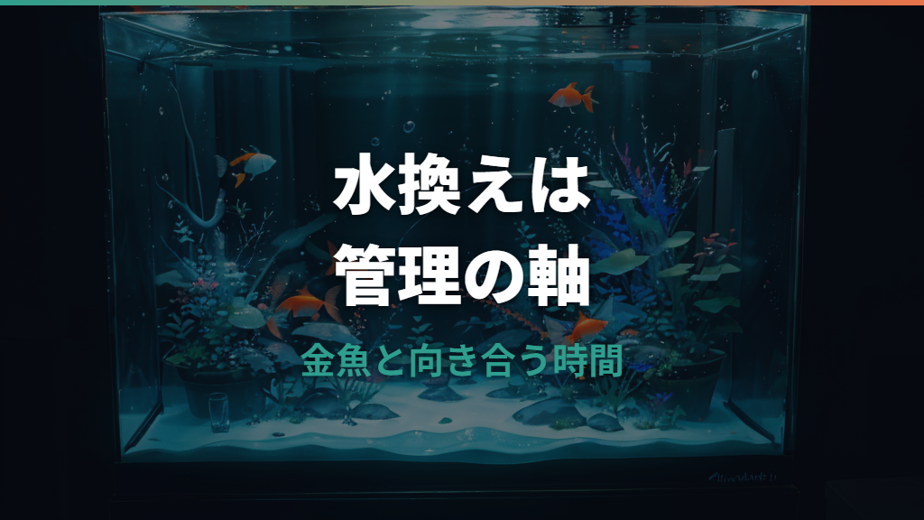 金魚の水換え頻度は何日おき?水槽サイズ・匹数別の目安と安全な手順