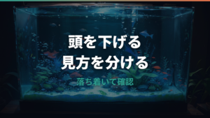 メダカの縦泳ぎで頭が下になる原因は?病気サインと応急処置