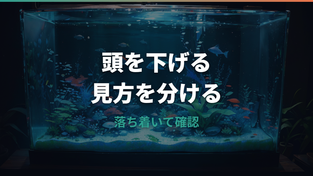 メダカの縦泳ぎで頭が下になる原因は？病気サインと応急処置