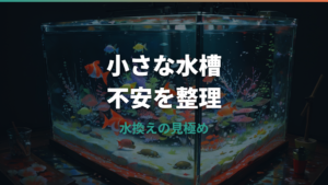 メダカの水換えをしないとどうなる?弱るサインと安全な頻度を解説