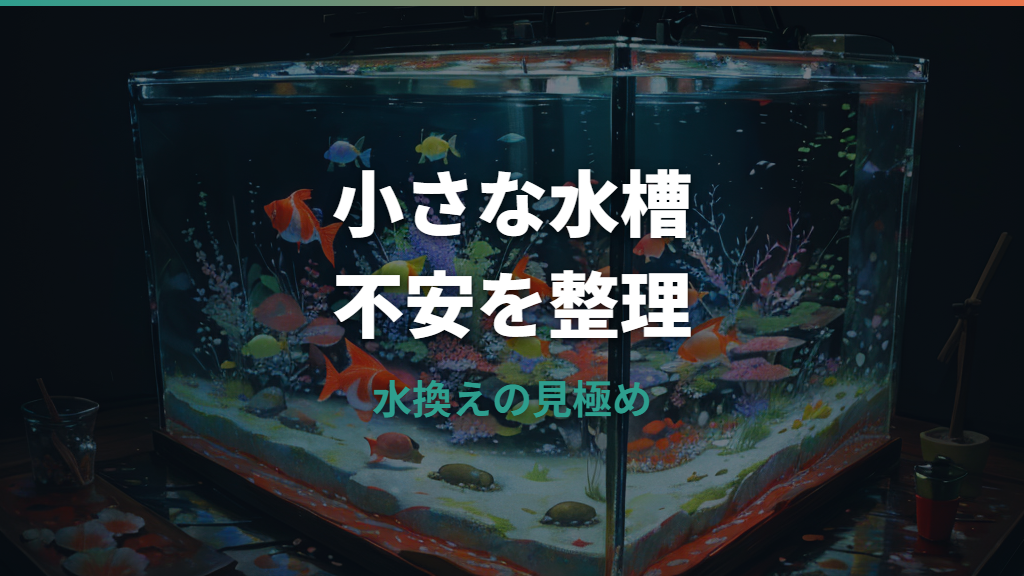 メダカの水換えをしないとどうなる?弱るサインと安全な頻度を解説