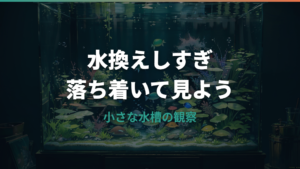 水槽の水換えしすぎは危険?魚が元気ない原因と頻度・量の目安