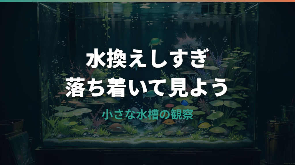 水槽の水換えしすぎは危険?魚が元気ない原因と頻度・量の目安