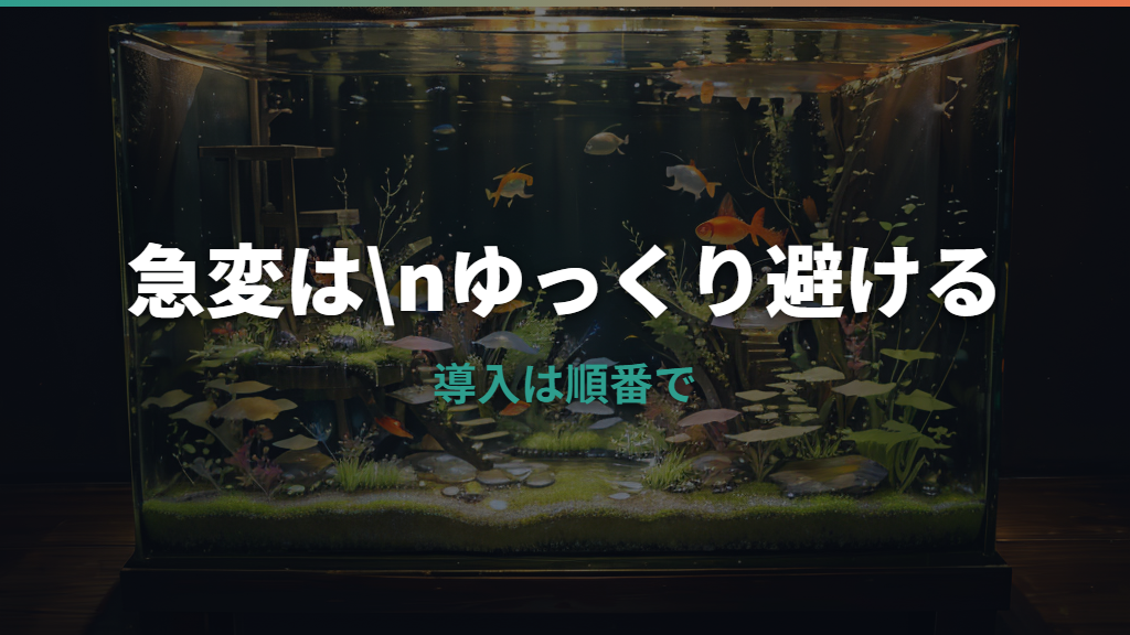 メダカの水合わせは必要ない?省略できる条件と安全な手順