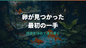 金魚が卵を産んだら最初にやること|孵化までの管理と稚魚の育て方