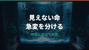 死んだ金魚は生き返る?仮死の見分け方と今すぐできる応急処置