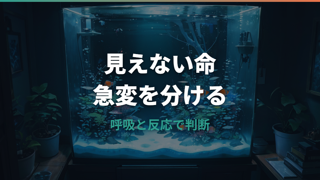 死んだ金魚は生き返る?仮死の見分け方と今すぐできる応急処置