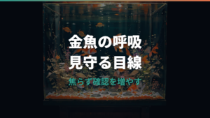 金魚のエラ病の見分け方|鼻上げ・片エラ・塩浴と薬浴の判断