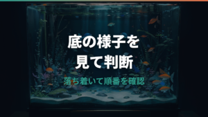 金魚が元気ないまま底にいる原因は?病気と様子見の見分け方