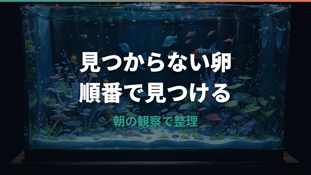 メダカの卵がどこに産んだかわからない時の探し方と原因