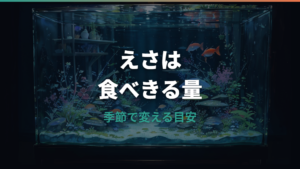 メダカのエサ頻度は1日何回？季節・水温・稚魚別の目安