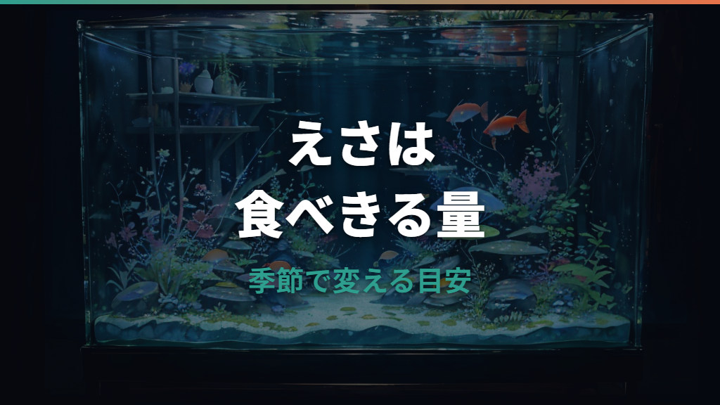 メダカのエサ頻度は1日何回？季節・水温・稚魚別の目安