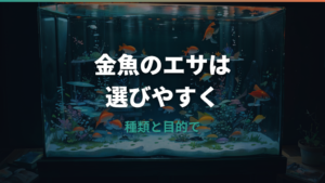 金魚のエサおすすめはどれ？種類別・目的別の選び方と与え方