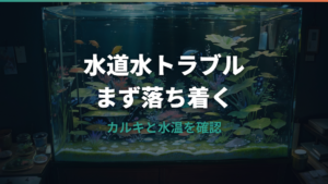 メダカに水道水を入れてしまった時の対処法|カルキ抜き忘れの応急処置と症状
