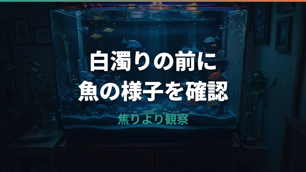 水槽の白濁りで魚が死ぬ原因は？危険サインと応急処置を解説