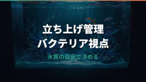 水槽立ち上げのバクテリア詳しいガイド｜必要な理由・入れるタイミング・魚を入れる目安