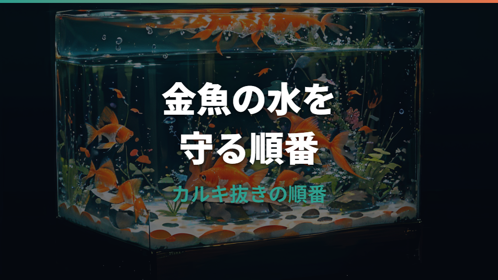 金魚のカルキ抜きをしないとどうなる？水道水を入れた時の影響と対処法