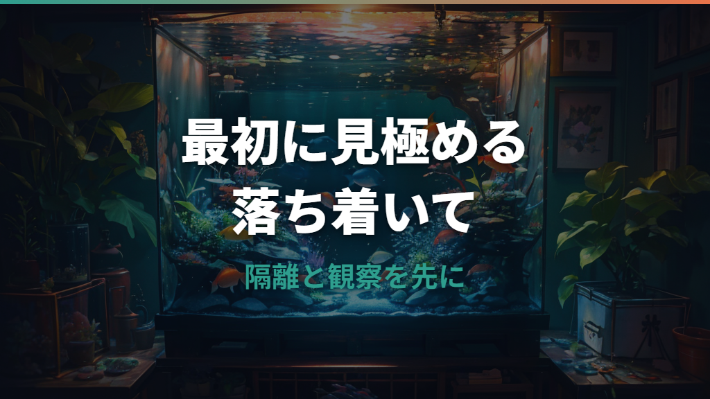 エロモナス菌が出た水槽はリセットすべき？判断基準と手順を解説