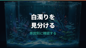 水槽の白濁りにエアレーションは必要？原因の見分け方と対処法
