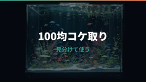 水槽のコケ取りは100均で足りる?ダイソー・セリア用品と傷を防ぐ使い方