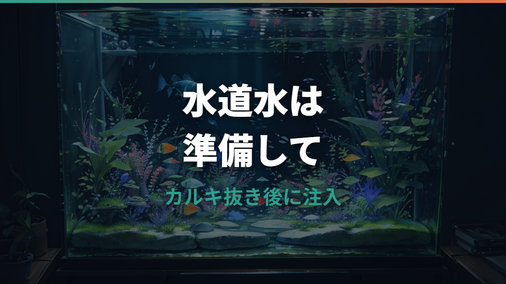 メダカに水道水はそのまま使える？カルキ抜き時間と水換えの安全手順