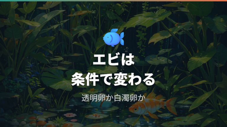 ミナミヌマエビは卵を食べるのかを条件別に見る