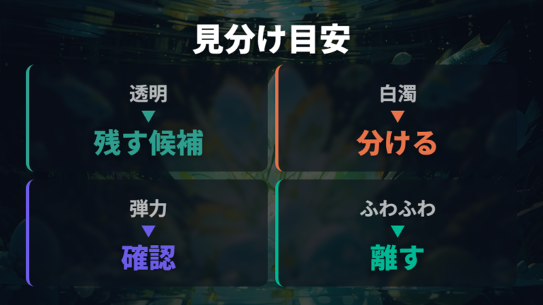 カビる卵と無精卵の見分け方を押さえる