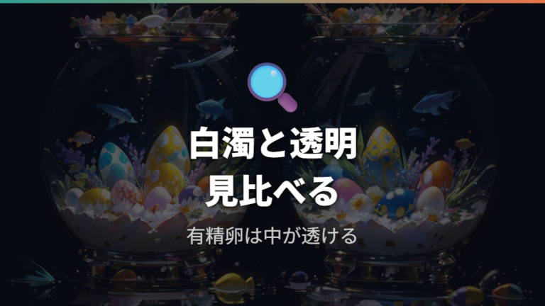 白い卵とカビ卵の見分け方を整理する